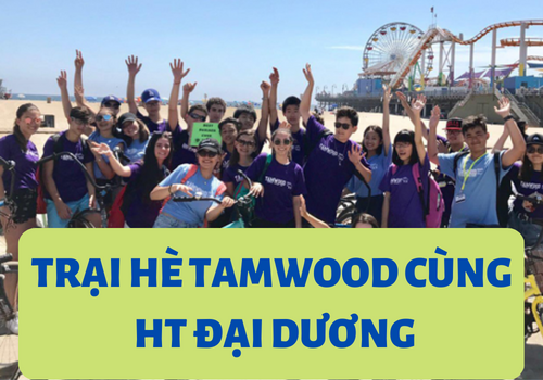 TRẠI HÈ TAMWOOD CÙNG HTO